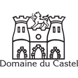 Domaine du Castel
